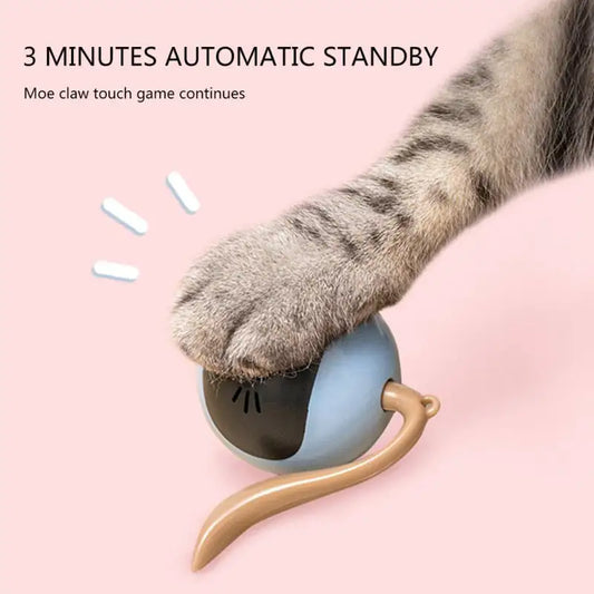 Automatic Self Rotating Cat Toy